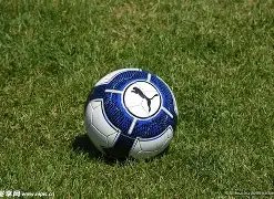 开运体育登,资讯,开运体育登录,开云体育,开云体育官网,开云体育app,开云体育平台,KAIYUN,SPORTS,kaiyun登录入口