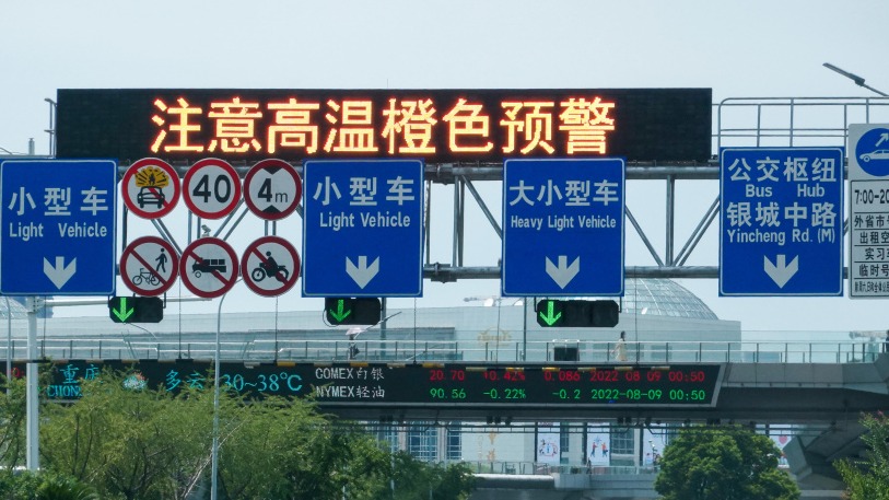 足球情怀不变,谢晖与申花队友拉德30年后重逢,温馨瞬间感动你我