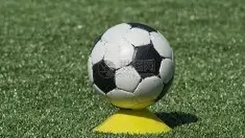 开运体育登录 资讯 084621 lgo