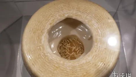 独领风骚30日！Pump.fun Solana应用收入狂飙，稳居币币行情顶尖霸主